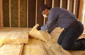 Best Eco-Friendly or Green Insulation Solutions in Northdale, FL